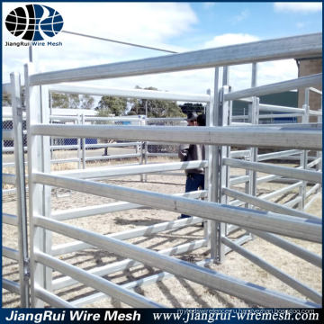 Завод Горячая продажа крупного рогатого скота фехтования панелей металлический забор